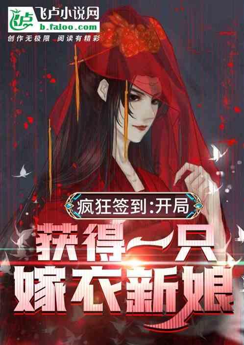 精灵的故事